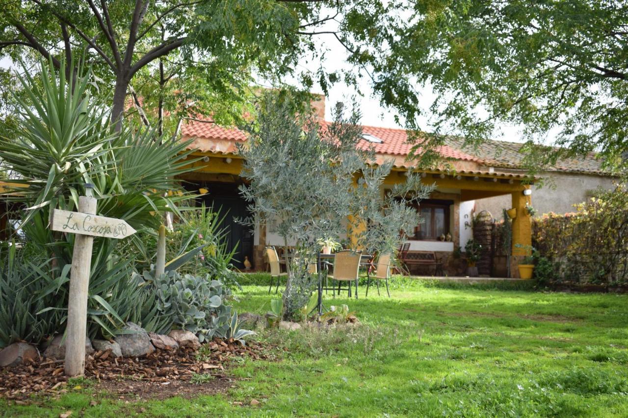 Casa Rural La Coscoja Mérida Exteriör bild
